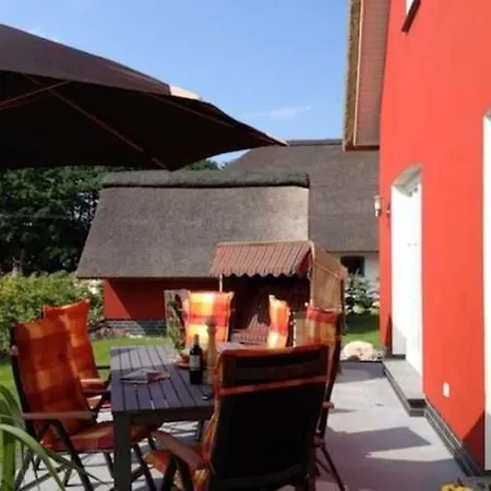 Strandhafer Stubbenfelde