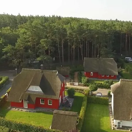 Strandhafer * Stubbenfelde